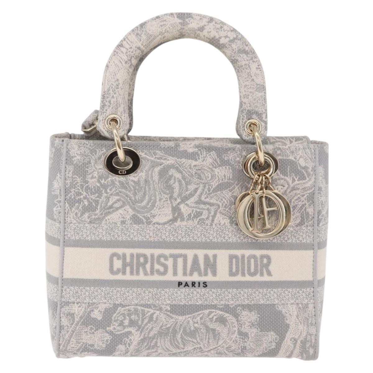 Christian Dior Lady Dior Embroidered Canvas Gray Canvas Handbag (Pre-Owned)